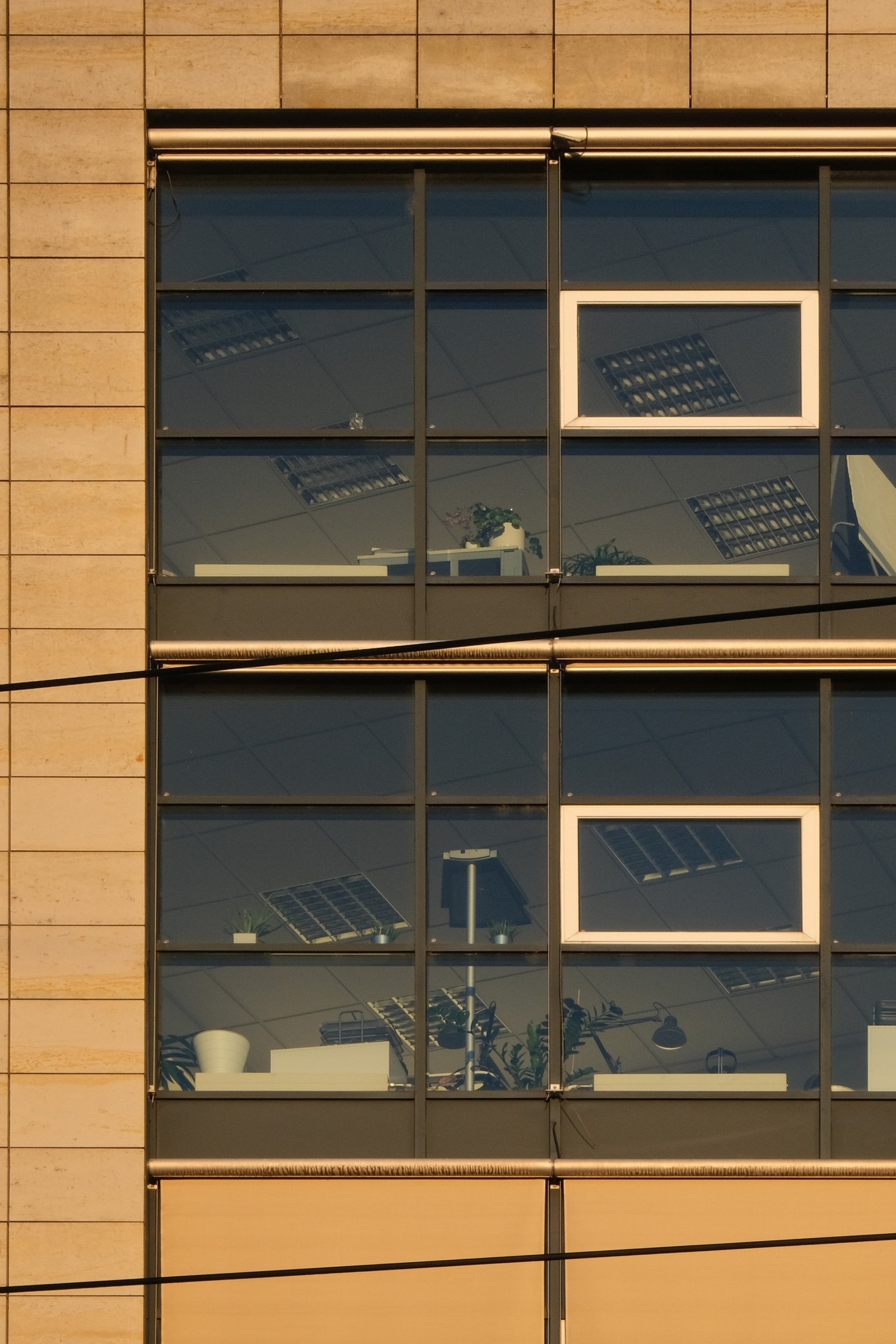 dscf6487 zuschnitt 3