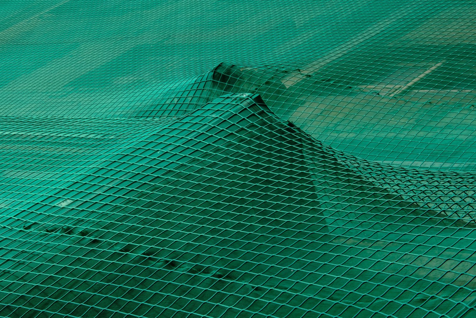 Hold It Together dscf8394 bearbeitet